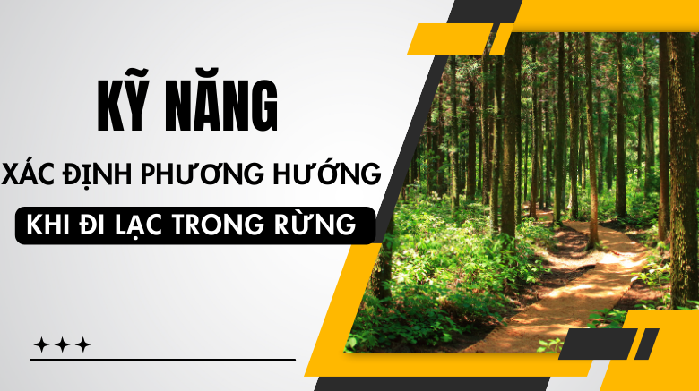 Kỹ năng xác định phương hướng khi đi lạc trong rừng