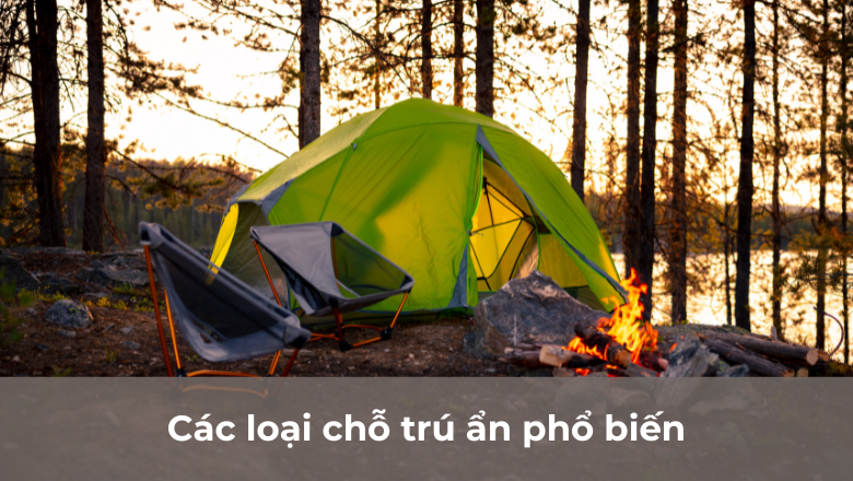 Các loại chỗ trú ẩn phổ biến