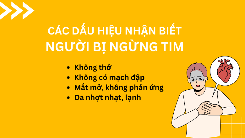 Các dấu hiệu nhận biết người bị ngừng tim