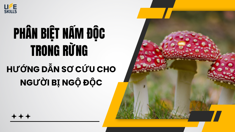 Phân biệt nấm độc trong rừng, hướng dẫn sơ cứu cho người bị ngộ độc