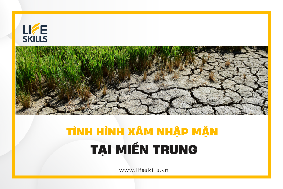 Tình hình xâm nhập mặn tại miền Trung