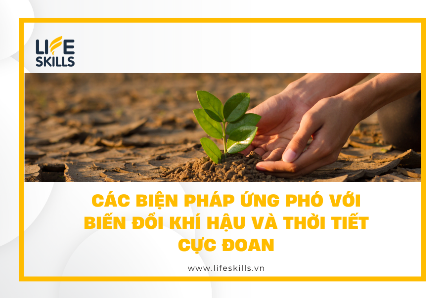 Các biện pháp ứng phó với biến đổi khí hậu và thời tiết cực đoan