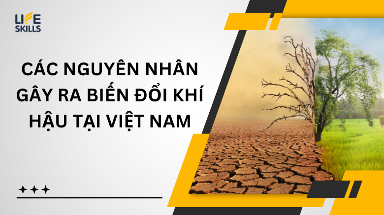 Các nguyên nhân gây ra biến đổi khí hậu tại Việt Nam