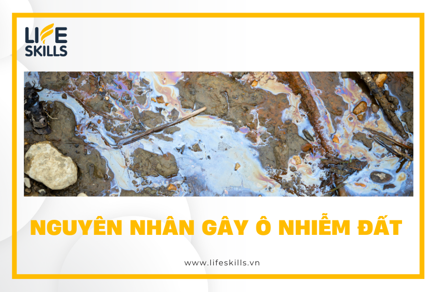 Nguyên nhân gây ô nhiễm đất