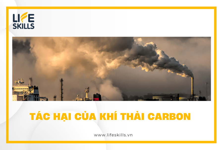 Tác hại của khí thải carbon