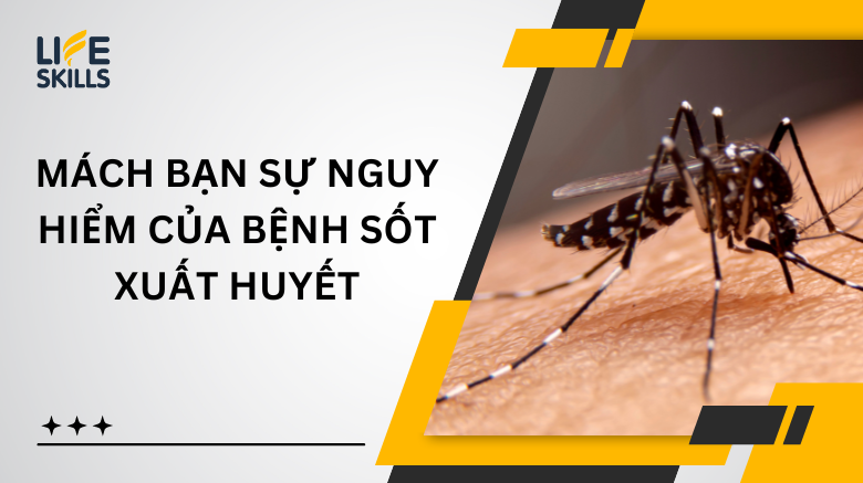 Mách bạn sự nguy hiểm của bệnh sốt xuất huyết