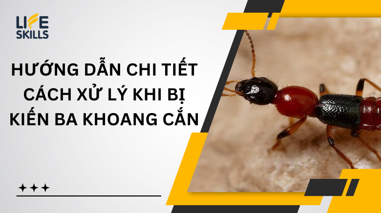 Hướng Dẫn Chi Tiết Cách Xử Lý Khi Bị Kiến Ba Khoang Cắn