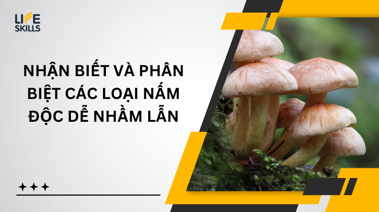 Nhận Biết và Phân Biệt Các Loại Nấm Độc Dễ Nhầm Lẫn