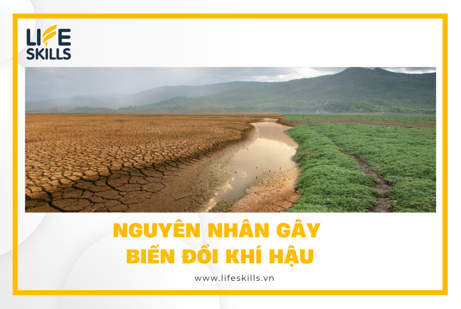 Nguyên nhân gây biến đổi khí hậu