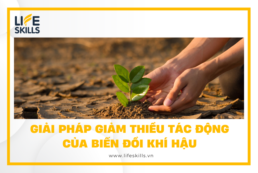 Giải pháp giảm thiểu tác động của biến đổi khí hậu