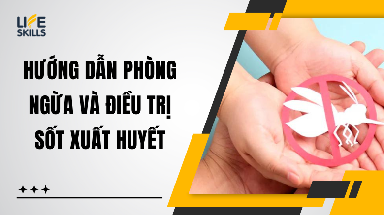 Hướng dẫn phòng ngừa và điều trị sốt xuất huyết