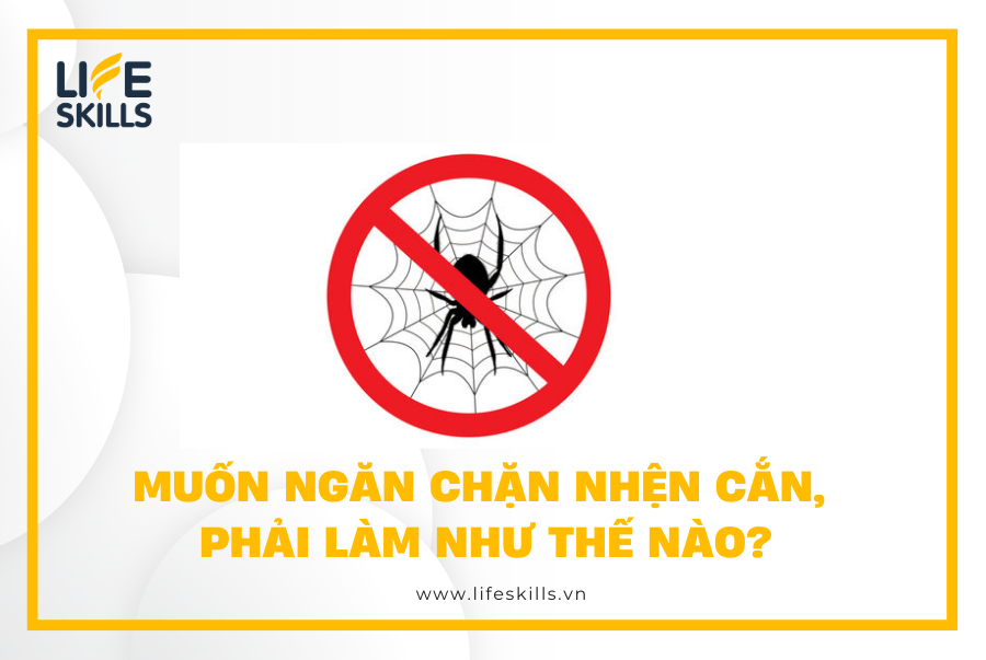 Muốn ngăn chặn nhện cắn, phải làm như thế nào?