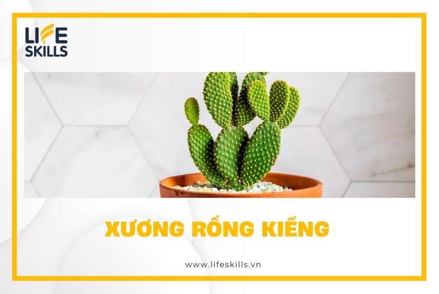 Xương rồng kiểng