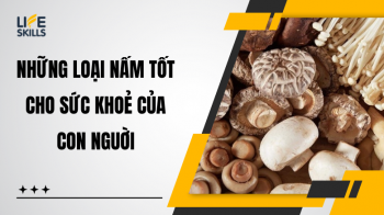 Top 10 loại nấm tốt cho sức khoẻ mà bạn cần biết